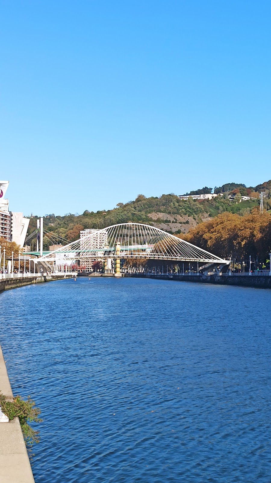 Pensión Martínez photo 10