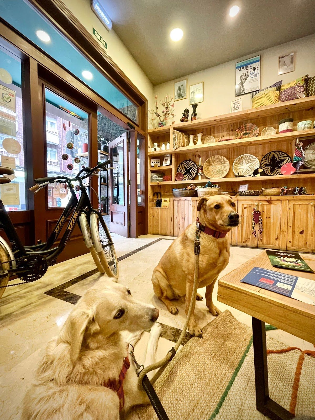 Hotel San Miguel photo 10