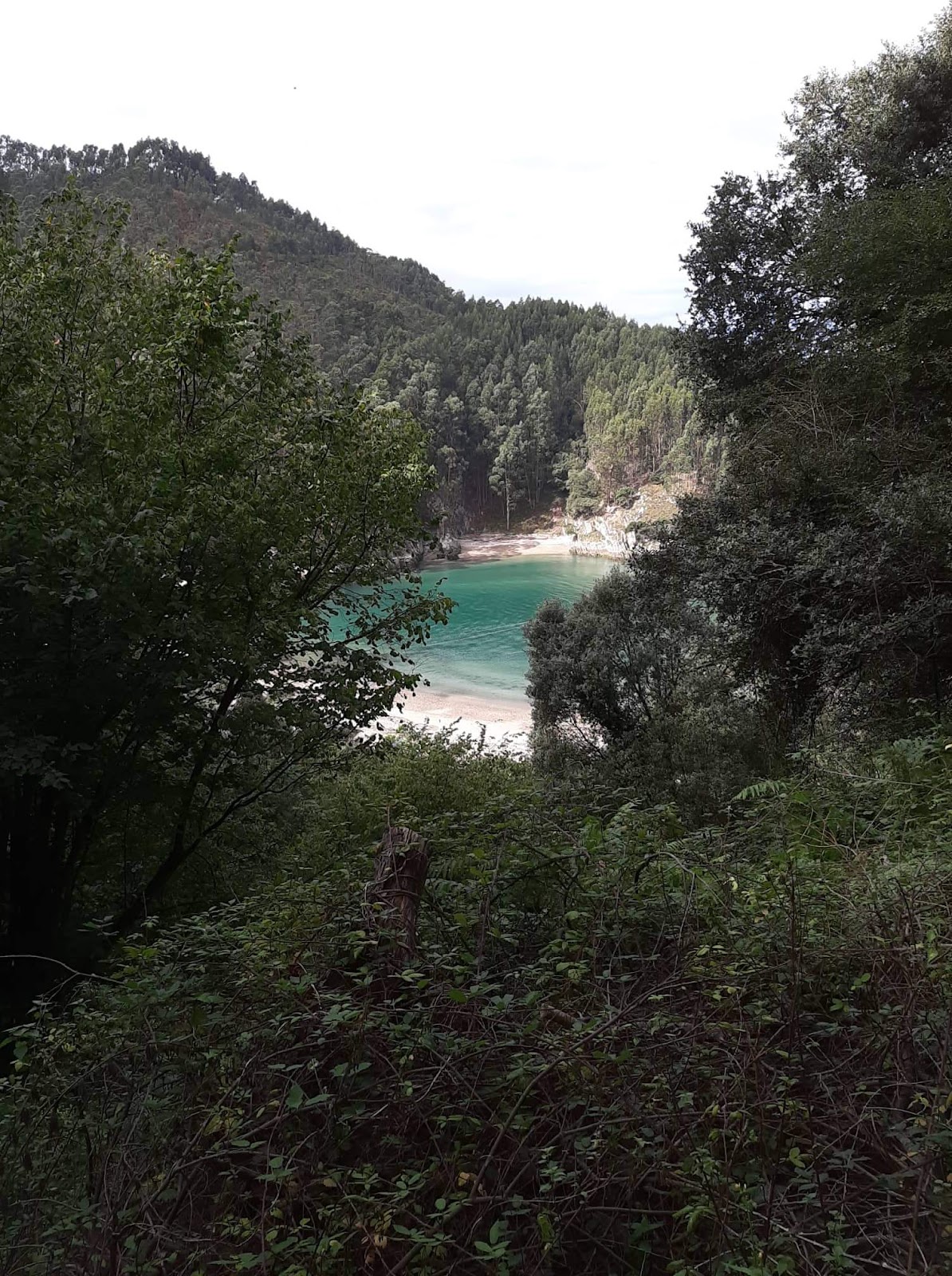 Apartamentos Tinamayor photo 6