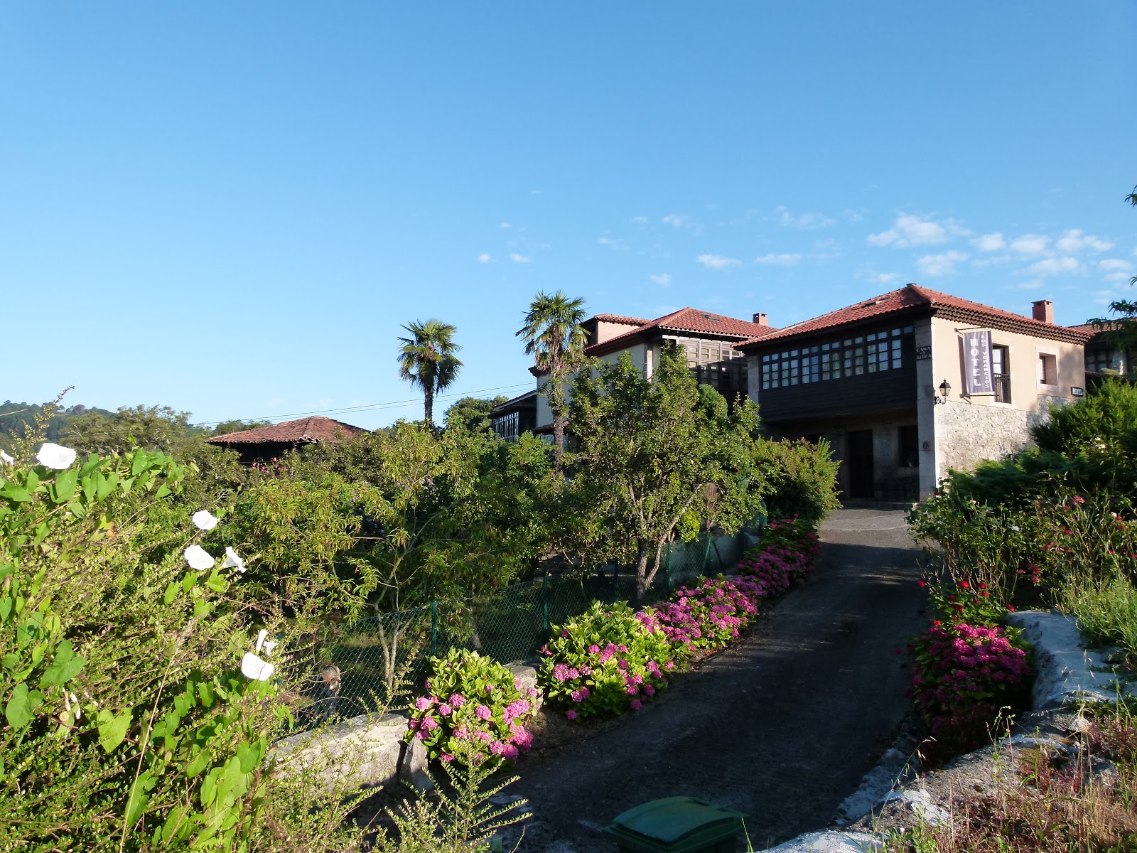 Finca los Venancios photo 6