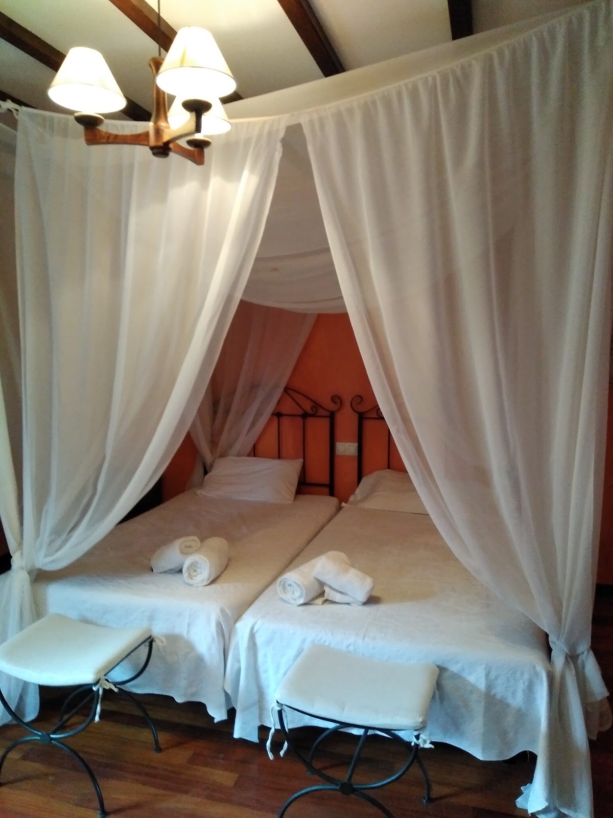 Bosque de Cuevas photo 8