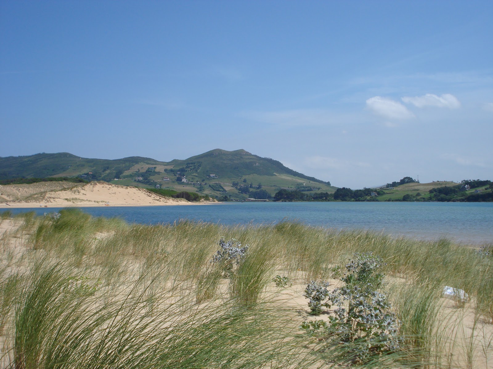 Apartamentos Abra del Pas photo 6