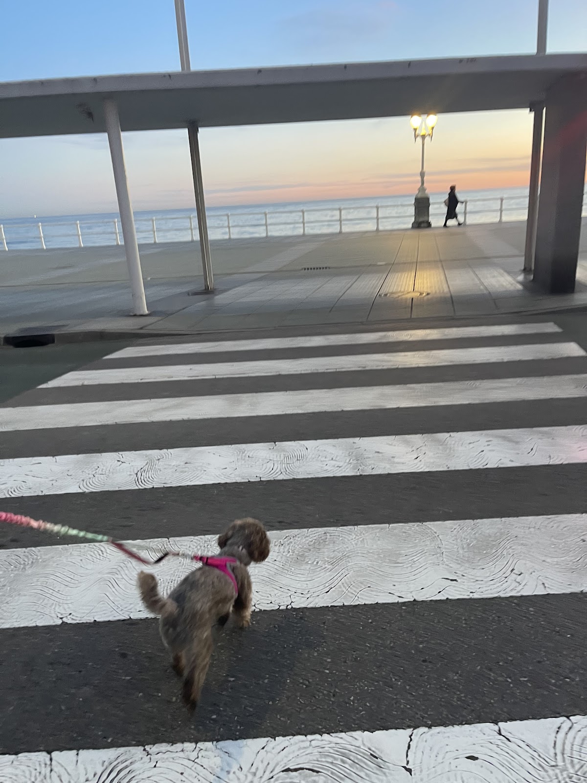 Iradri, Apartamento Playa Gijón