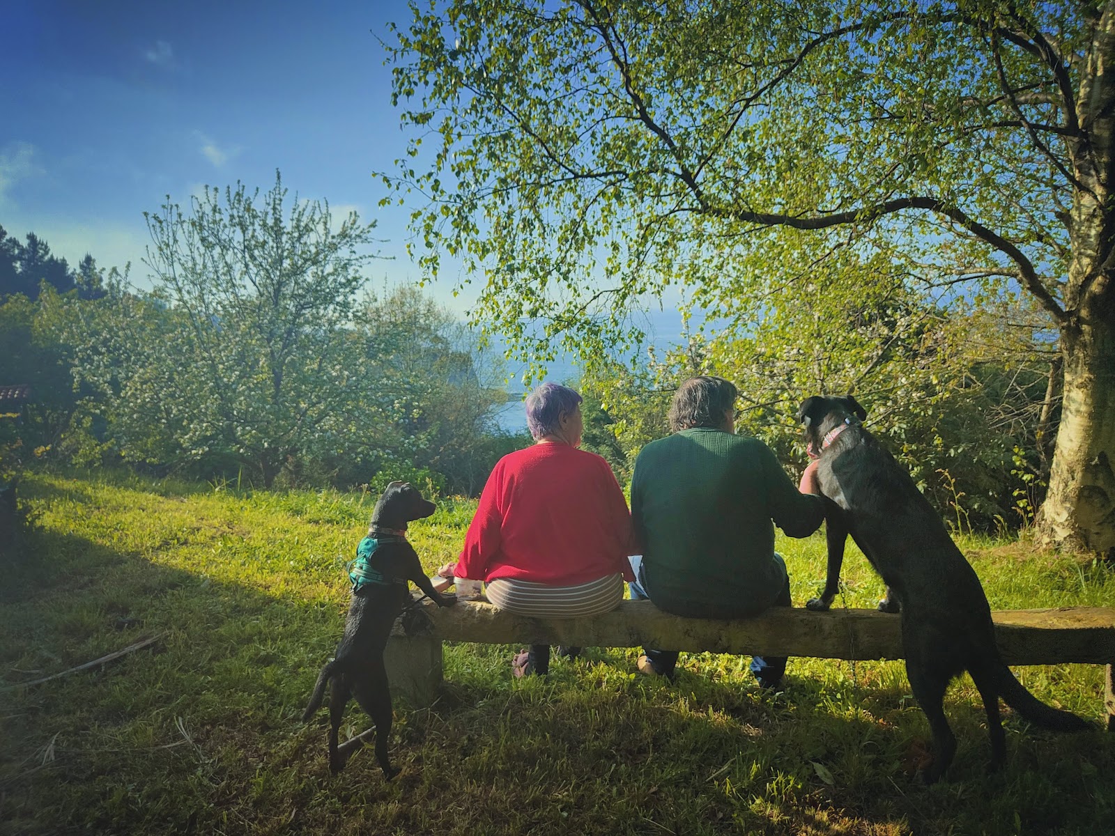 Mitriku B&B MUTRIKU SEA SIDE- Laranga Auzoa photo 6