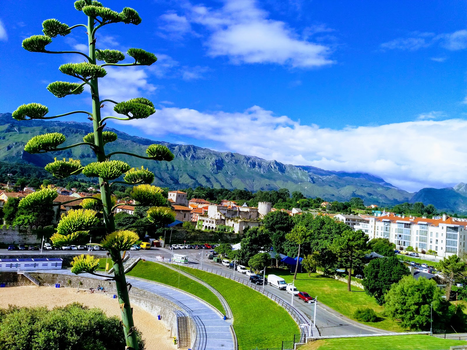 Pension los Pinos photo 9