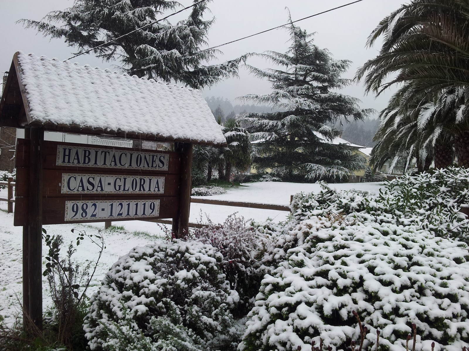 Pensión Residencia Casa Gloria photo 3