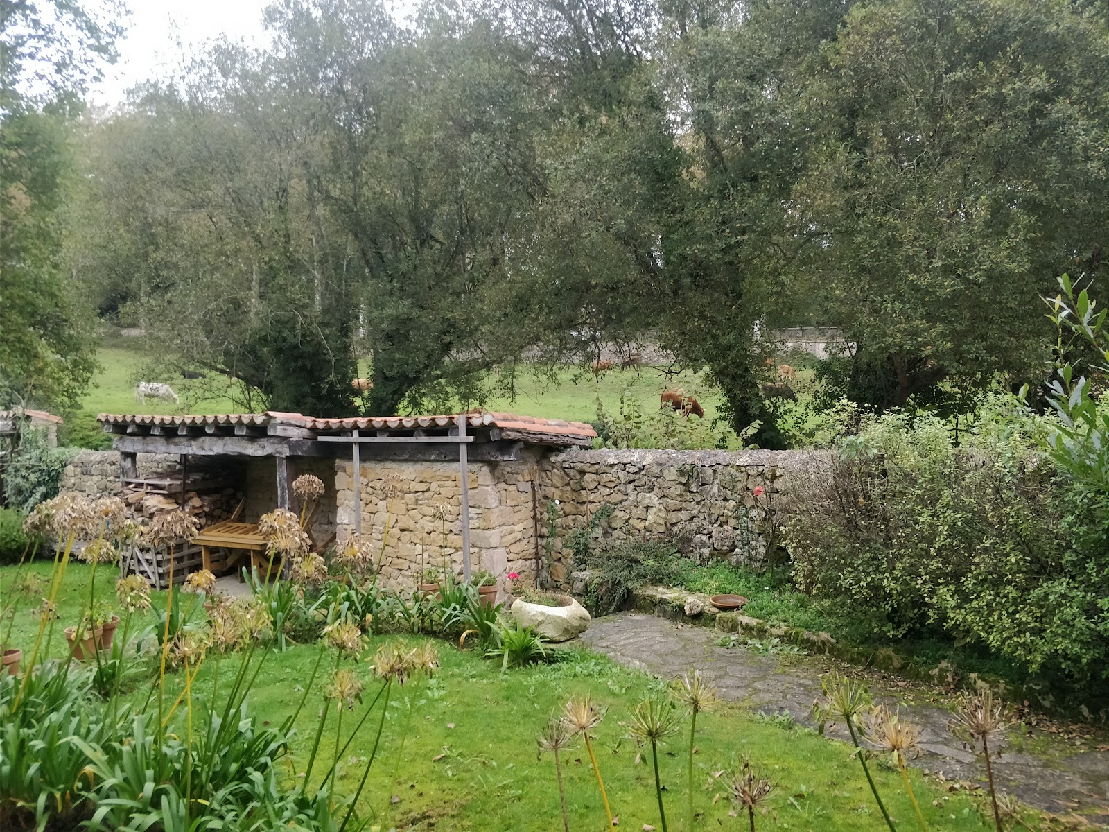 Apartamentos Tarrio photo 10