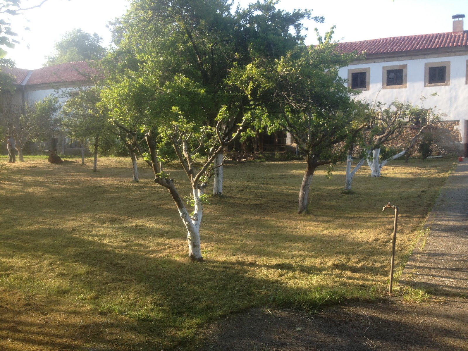 Albergue de Peregrinos El Convento photo 6