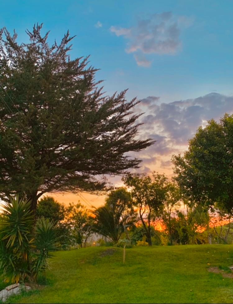 Finca "EL MIRUÉNDANO" photo 7