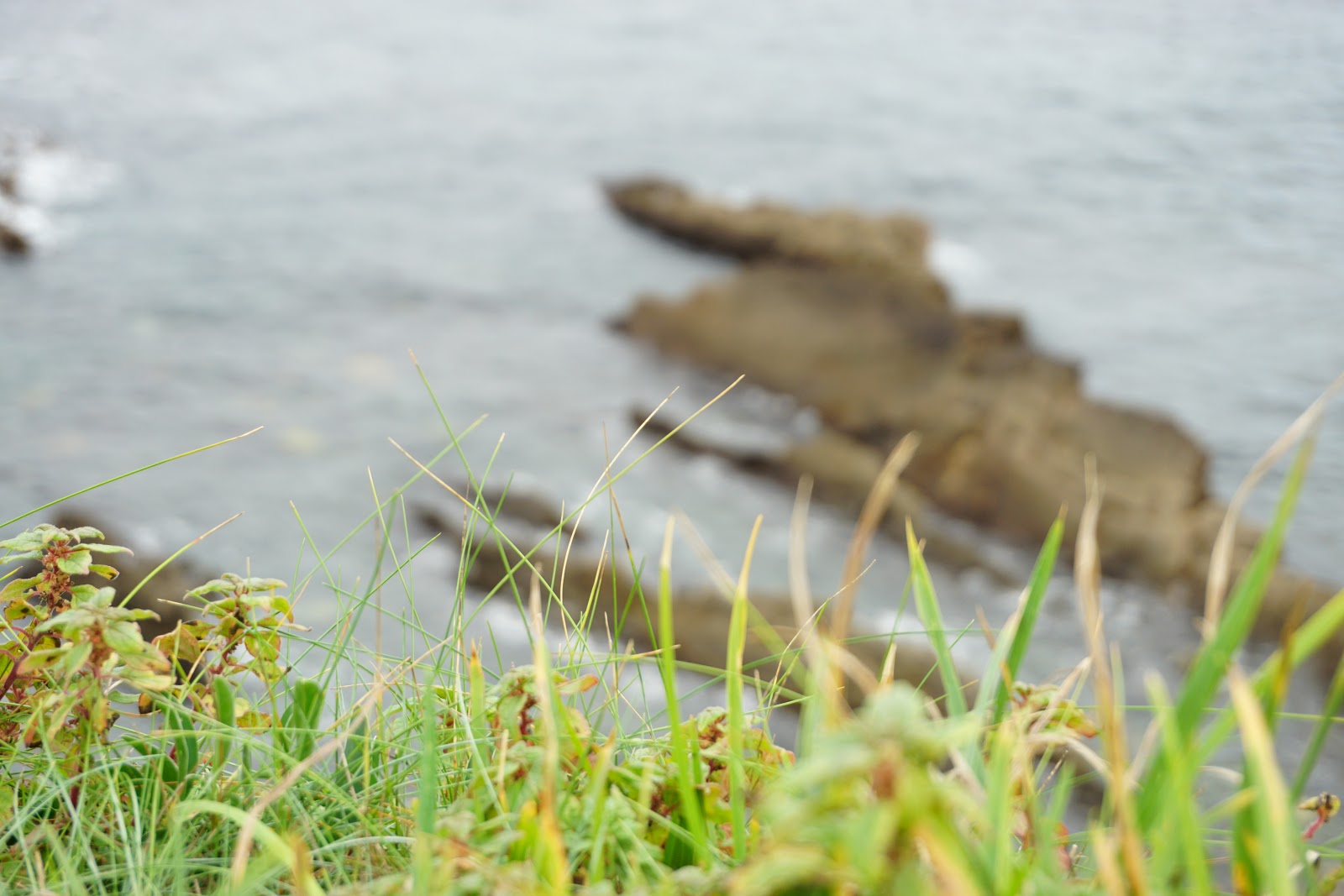 Apartamentos Turísticos El Peñón