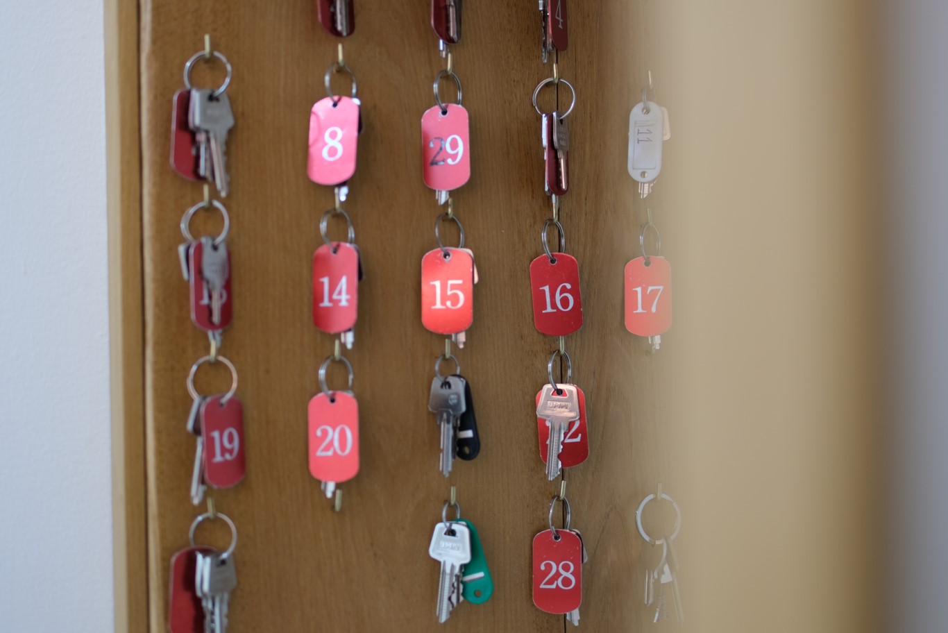 El Hostel & Co photo 7