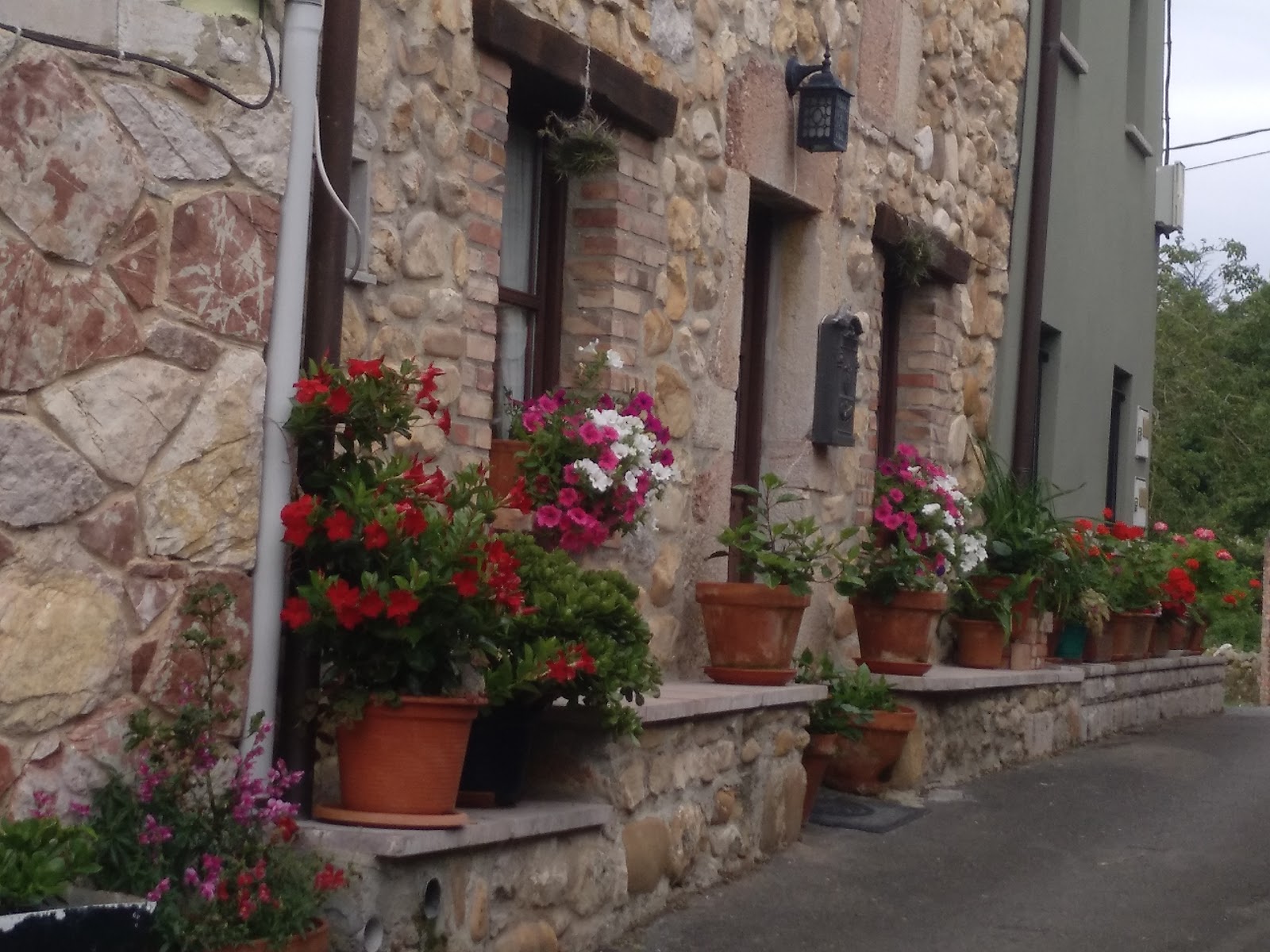 Hotel y Apartamentos Cuevas del Mar photo 6