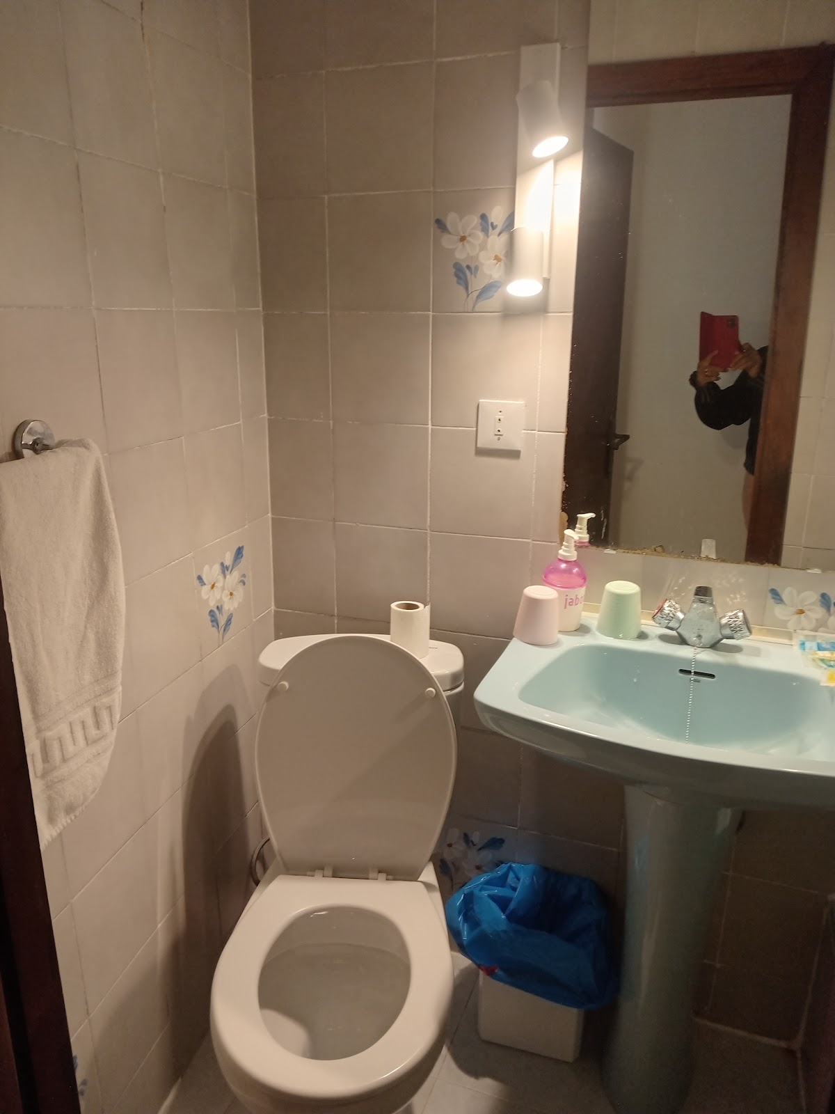 Pensión Iberia photo 4