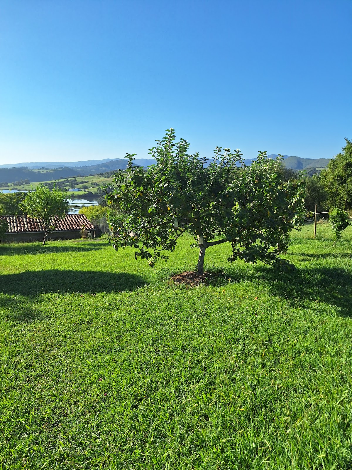 Fuente el Hayedo photo 8