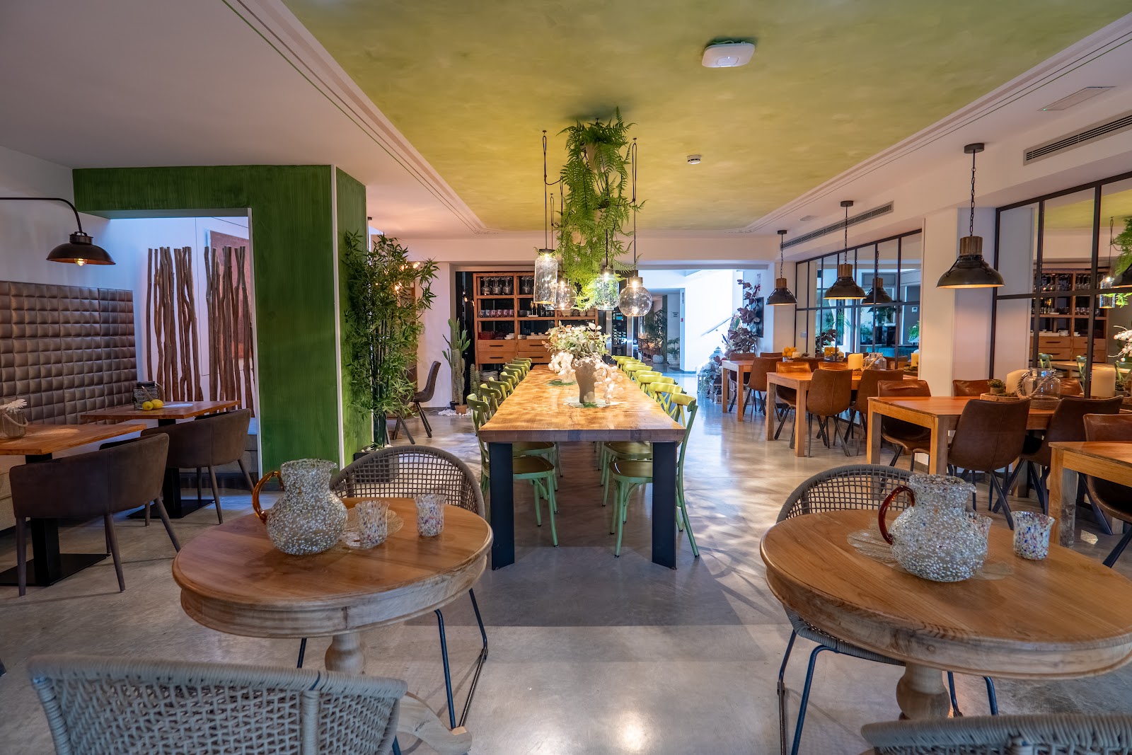 Hotel Cuevas photo 8