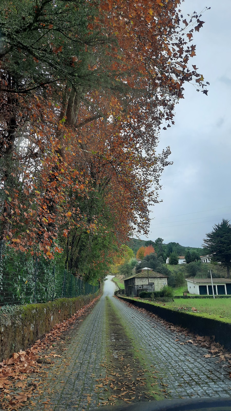 NorQuali - Consultoria e Segurança Alimentar, Lda. photo 4