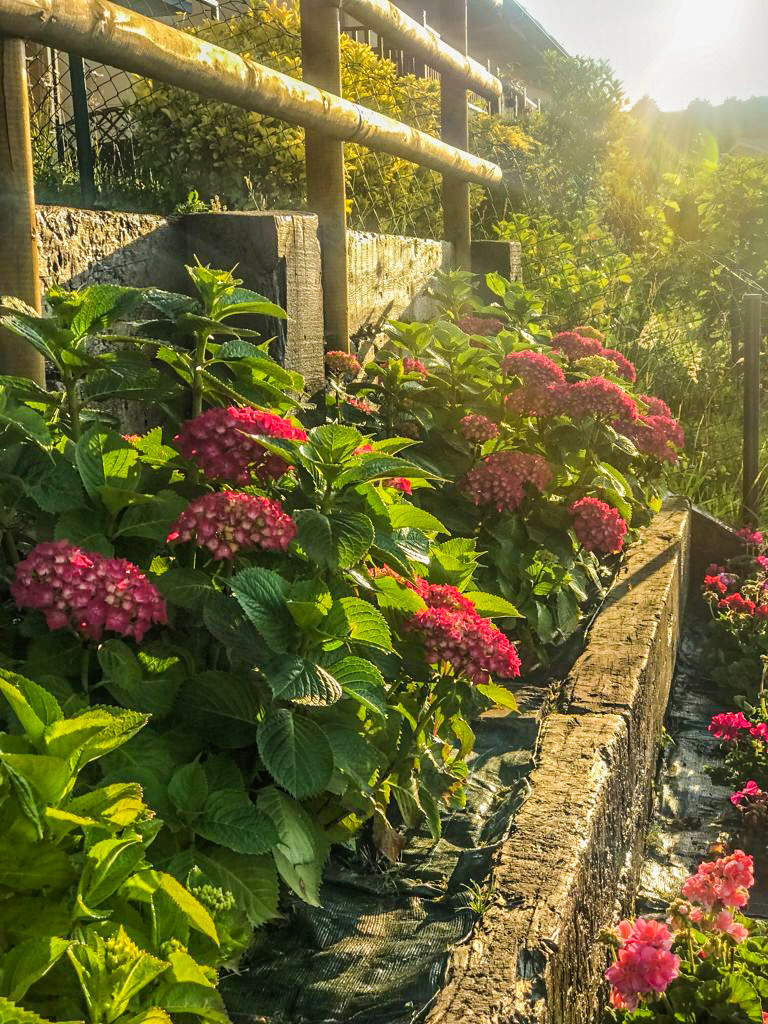 La Casa de las Flores Comillas photo 4