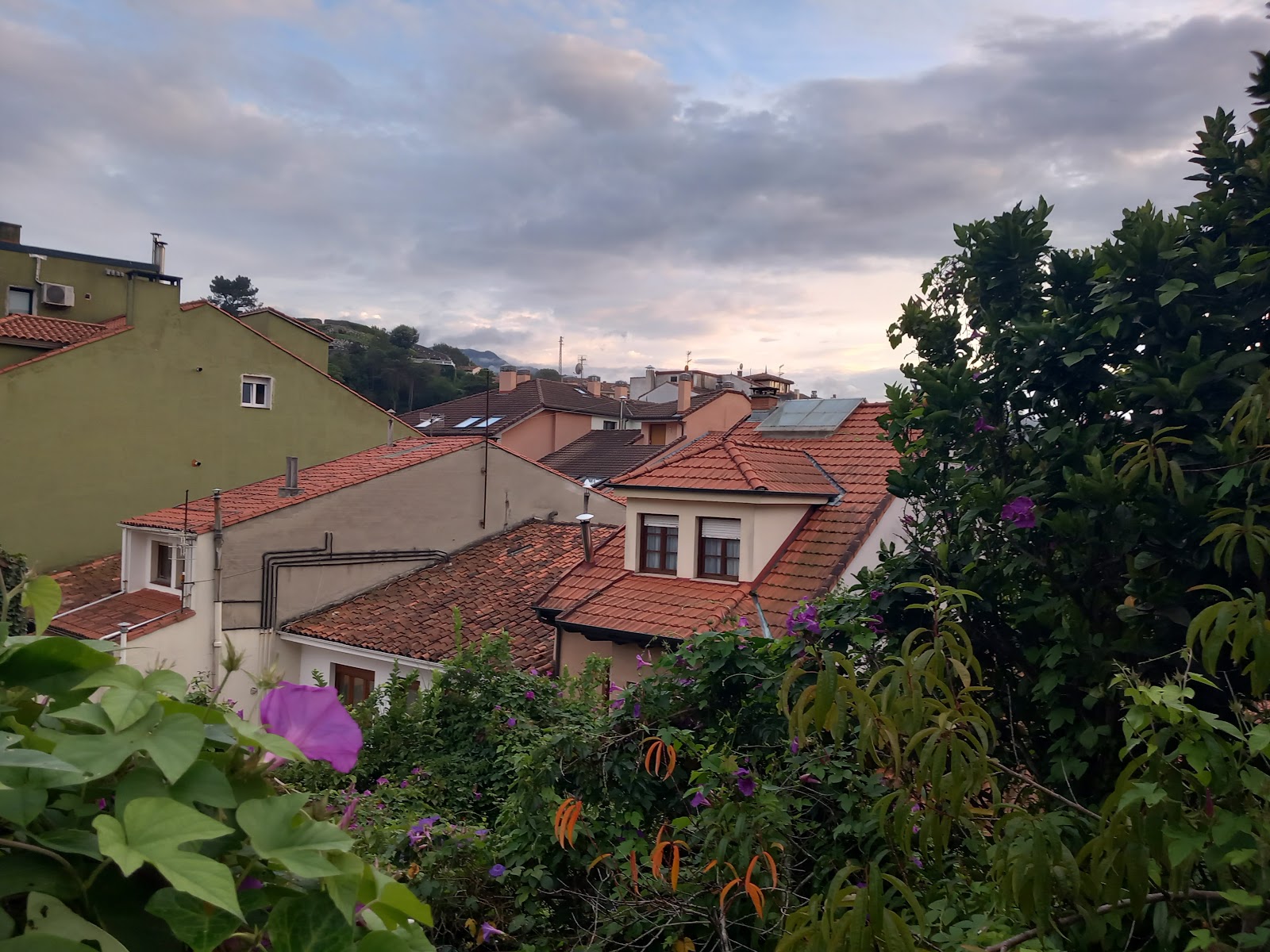 Pensión Argüelles photo 6