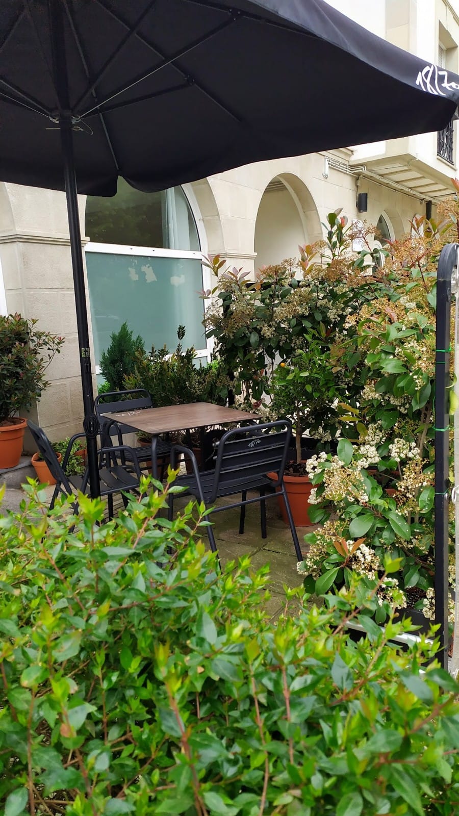 Apartamentos Zarautz Oasis Living photo 8