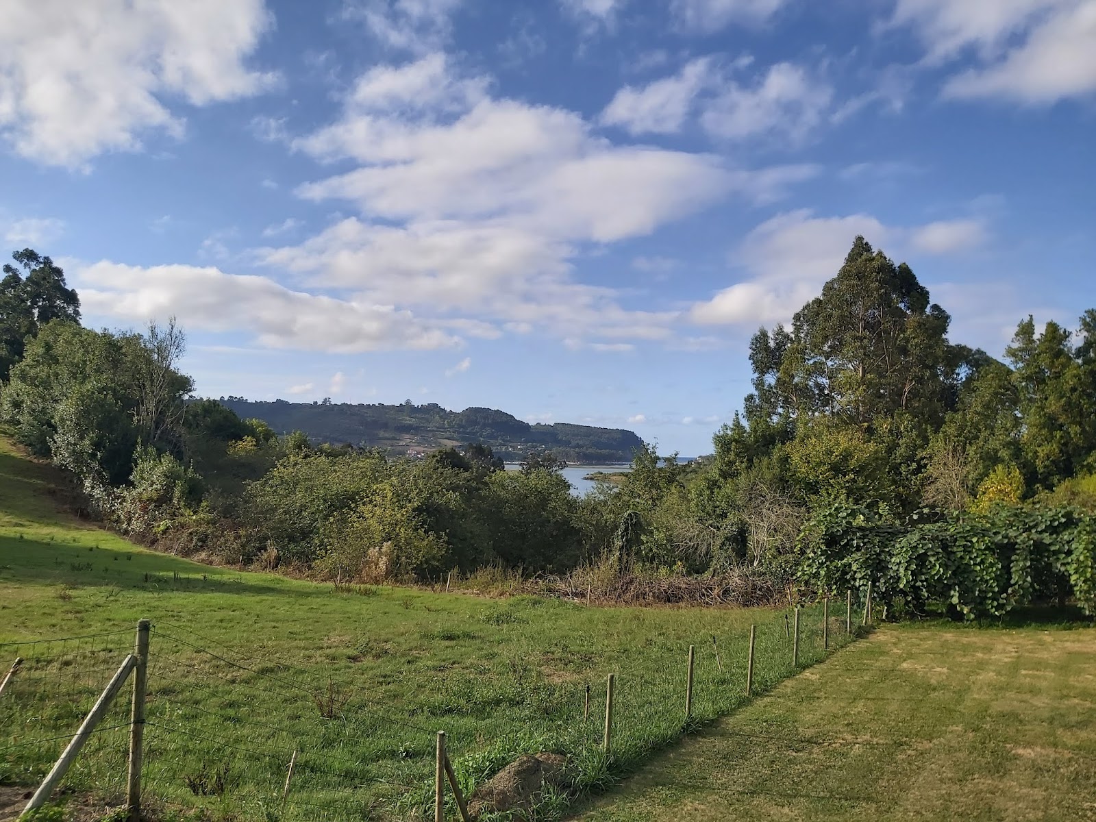 Apartamentos Rurales Mirador de Rodiles photo 4