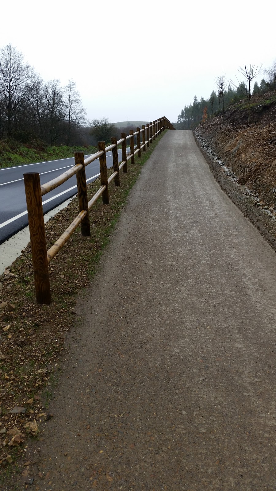 Casa Roxica Albergue y pensión photo 10