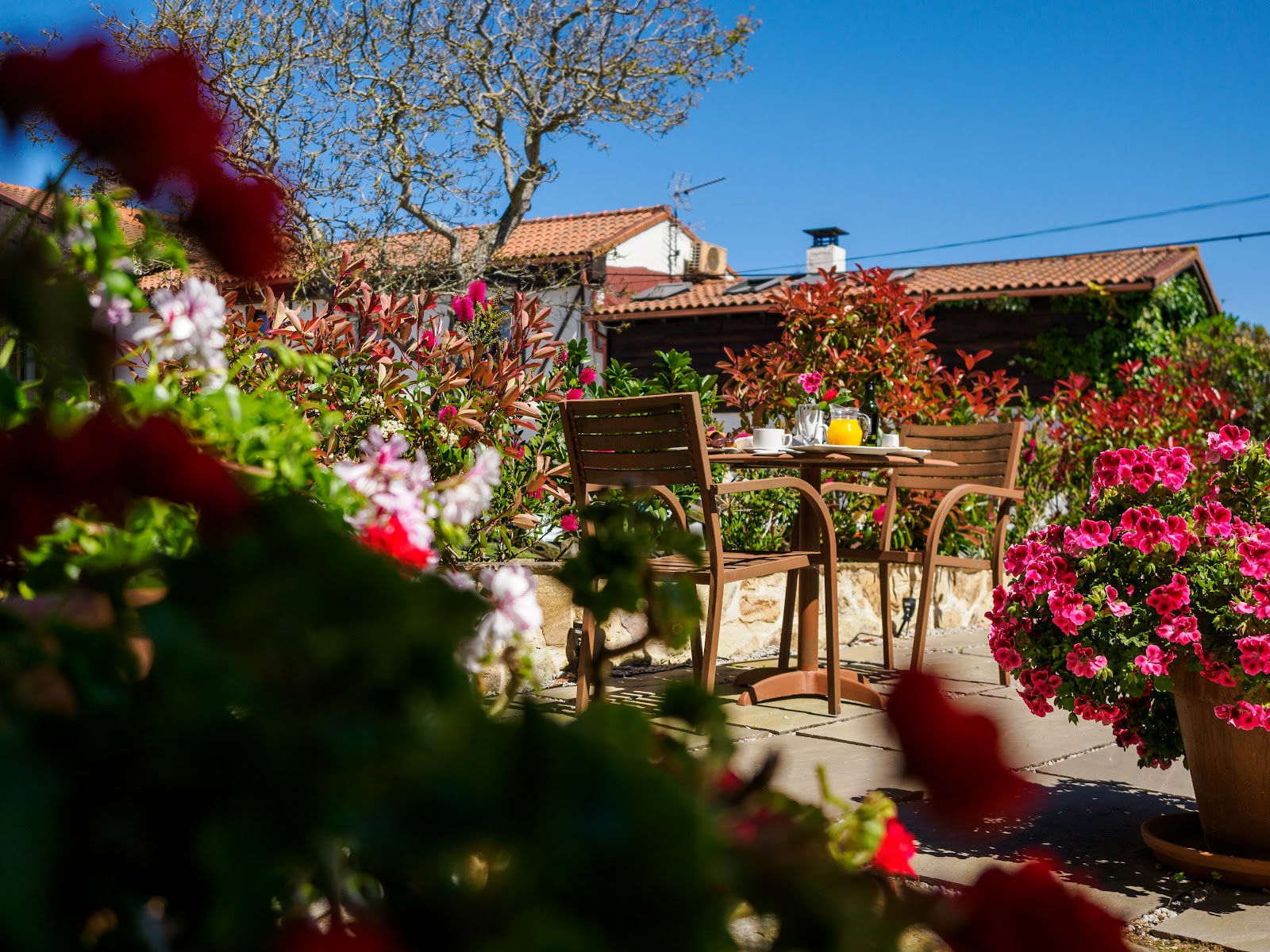 La Casa de Don Pablo photo 5