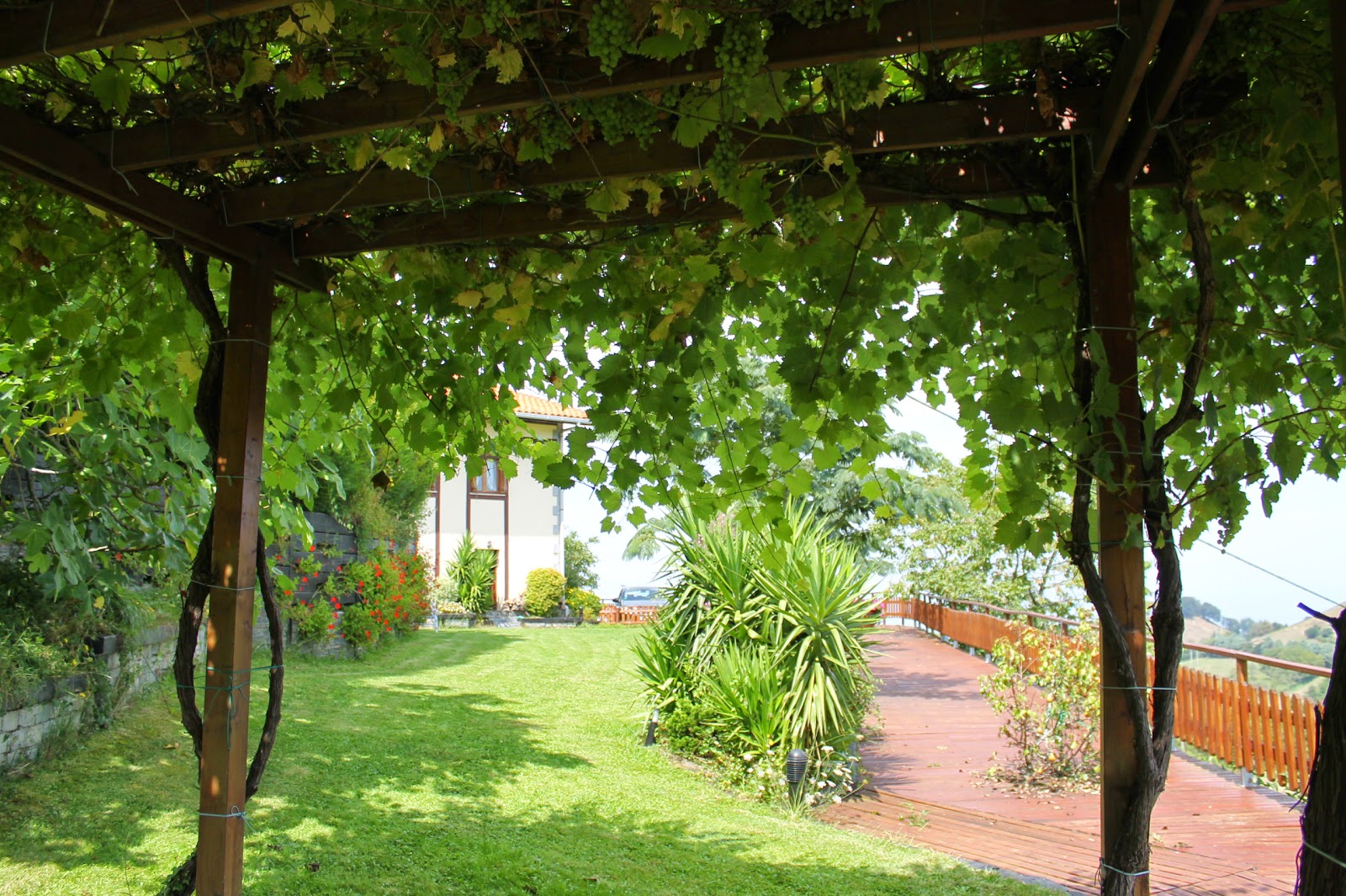 Zelaieta BerriBi Landetxea photo 6