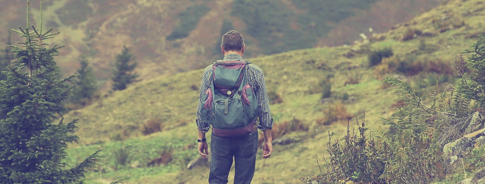 De Camino Albergue photo 3