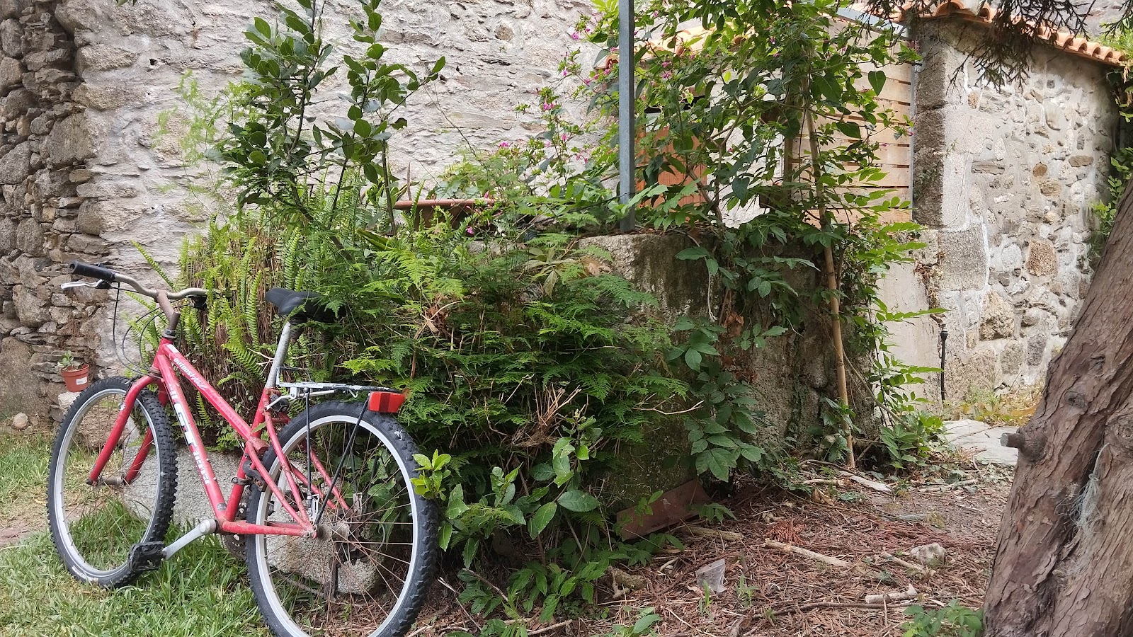Hostel - Esposende Garden photo 9, albergue accommodation in Esposende on the Camino Portuguese