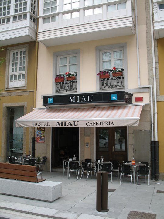 Hostal Miau, pension accommodation in A Coruña on the Camino Inglés
